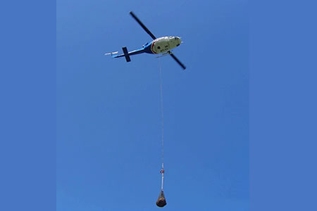 Red de Carga / Cargo Net